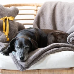 Kuscheldecken & Spielzeug