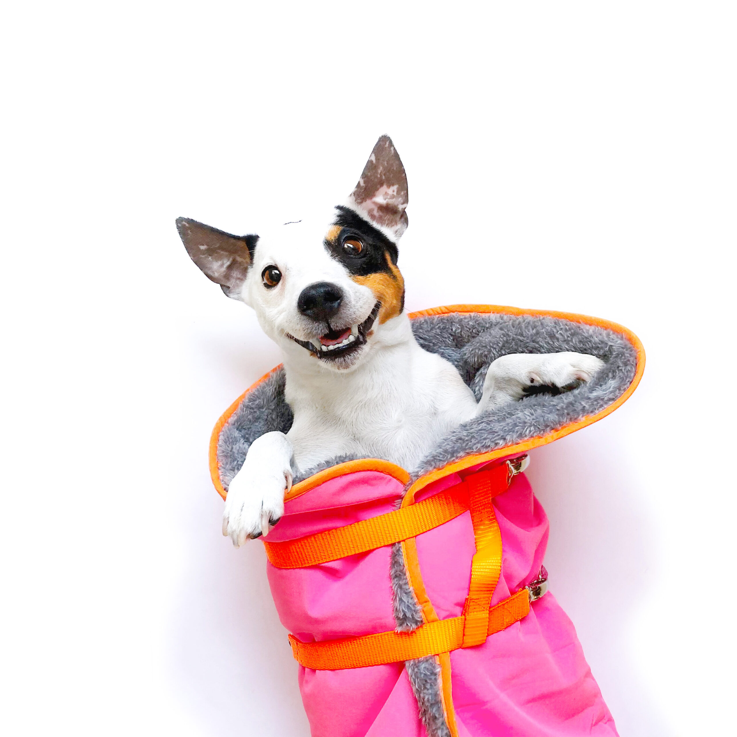 Dog'n'Roll • Hundereisedecke • Neonpink - Neonorange – Bild 2