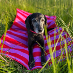 Alternative view of Dog'n'Roll • Hundereisedecke • Sunset Stripes • Flieder - Rot