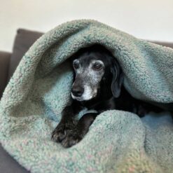 Alternative view of Outdoor Mupfel • Hunde Kuschelsack • Stepp Frostgrün - Teddy Frostgrün-Bunt